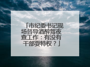 市纪委书记现场督导酒醉驾夜查工作：有没有干部耍特权？