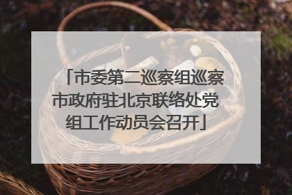 市委第二巡察组巡察市政府驻北京联络处党组工作动员会召开