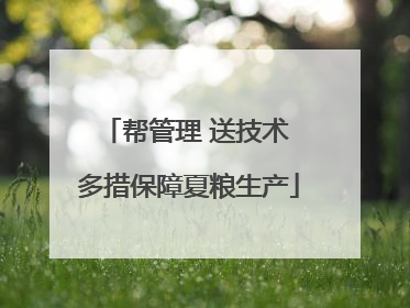 帮管理 送技术 多措保障夏粮生产