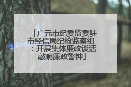 广元市纪委监委驻市经信局纪检监察组：开展集体廉政谈话 敲响廉政警钟