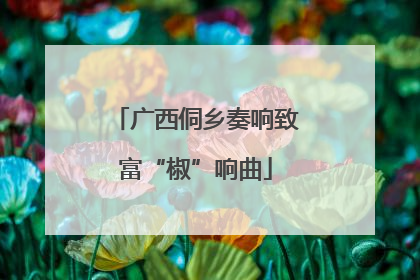 广西侗乡奏响致富“椒”响曲