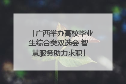 广西举办高校毕业生综合类双选会 智慧服务助力求职