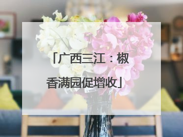 广西三江：椒香满园促增收