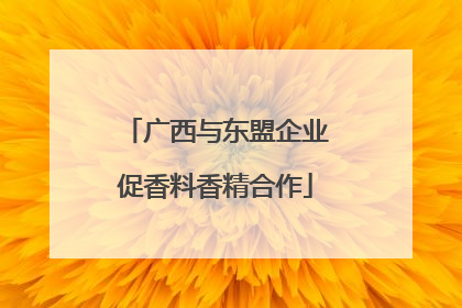 广西与东盟企业促香料香精合作