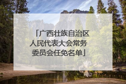 广西壮族自治区人民代表大会常务委员会任免名单
