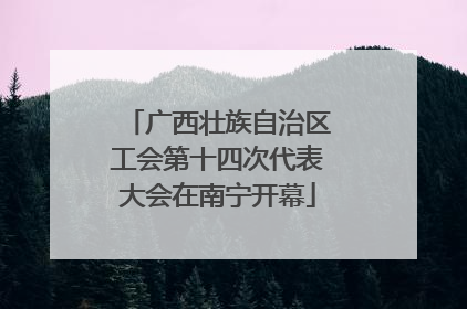 广西壮族自治区工会第十四次代表大会在南宁开幕