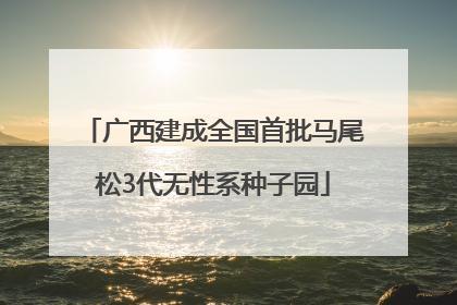 广西建成全国首批马尾松3代无性系种子园