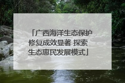广西海洋生态保护修复成效显著 探索生态惠民发展模式