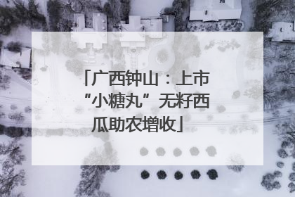 广西钟山：上市“小糖丸”无籽西瓜助农增收