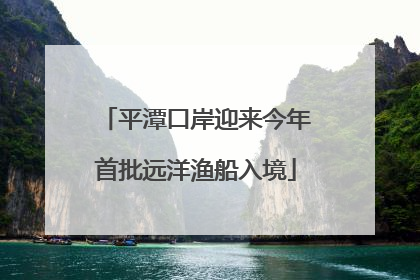 平潭口岸迎来今年首批远洋渔船入境