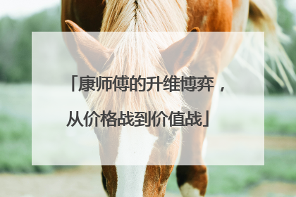 康师傅的升维博弈，从价格战到价值战