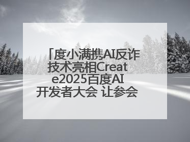 度小满携AI反诈技术亮相Create2025百度AI开发者大会 让参会者体验防深伪技术
