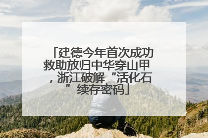 建德今年首次成功救助放归中华穿山甲，浙江破解“活化石”续存密码
