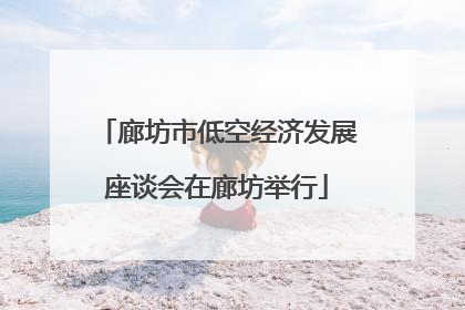 廊坊市低空经济发展座谈会在廊坊举行