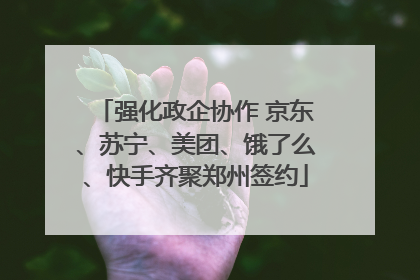 强化政企协作 京东、苏宁、美团、饿了么、快手齐聚郑州签约