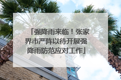 强降雨来临！张家界市严阵以待开展强降雨防范应对工作