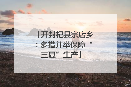 开封杞县宗店乡：多措并举保障“三夏”生产