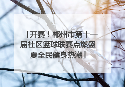 开赛！郴州市第十一届社区篮球联赛点燃盛夏全民健身热潮