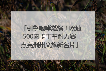 引擎咆哮燃爆！欧速500圈卡丁车耐力赛点亮荆州文旅新名片