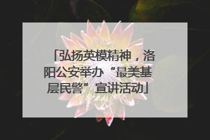 弘扬英模精神，洛阳公安举办“最美基层民警”宣讲活动