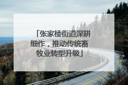 张家楼街道深耕细作，推动传统畜牧业转型升级