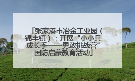 张家港市冶金工业园（锦丰镇）：开展“小小兵成长季——勇敢挑战营”国防启蒙教育活动