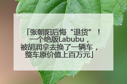 张朝阳后悔“退货”！一个绝版Labubu，被胡润拿去换了一辆车，整车原价值上百万元