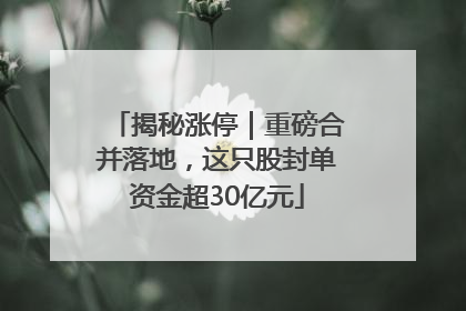 揭秘涨停｜重磅合并落地，这只股封单资金超30亿元