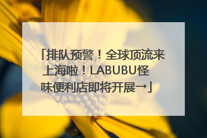 排队预警！全球顶流来上海啦！LABUBU怪味便利店即将开展→