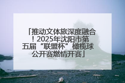 推动文体旅深度融合！2025年沈阳市第五届“联盟杯”橄榄球公开赛燃情开赛
