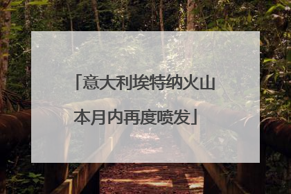 意大利埃特纳火山本月内再度喷发