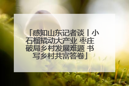 感知山东记者谈丨小石榴撬动大产业 枣庄破局乡村发展难题 书写乡村共富答卷