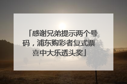 感谢兄弟提示两个号码，浦东购彩者复式票喜中大乐透头奖