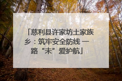 慈利县许家坊土家族乡：筑牢安全防线 一路“未”爱护航