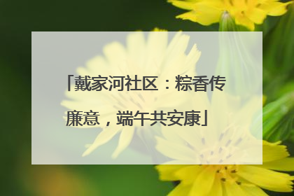 戴家河社区：粽香传廉意，端午共安康