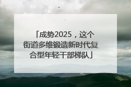 成势2025，这个街道多维锻造新时代复合型年轻干部梯队