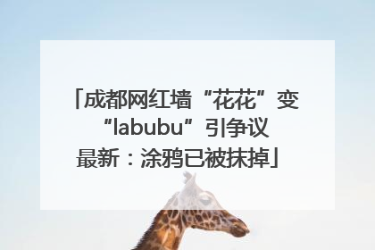 成都网红墙“花花”变“labubu”引争议 最新：涂鸦已被抹掉