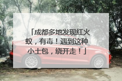 成都多地发现红火蚁，有毒！遇到这种小土包，绕开走！