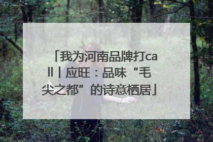 我为河南品牌打call丨应旺：品味“毛尖之都”的诗意栖居