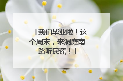 我们毕业啦！这个周末，来洞庭南路听民谣！