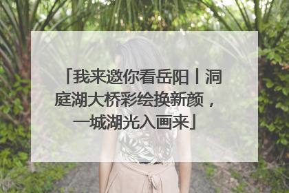 我来邀你看岳阳丨洞庭湖大桥彩绘换新颜，一城湖光入画来