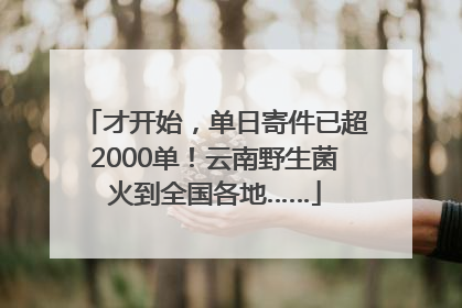才开始，单日寄件已超2000单！云南野生菌火到全国各地……