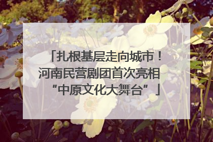 扎根基层走向城市！河南民营剧团首次亮相“中原文化大舞台”