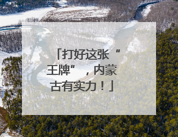 打好这张“王牌”，内蒙古有实力！