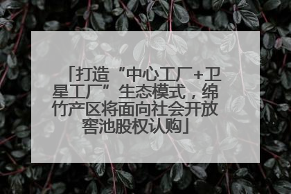 打造“中心工厂+卫星工厂”生态模式，绵竹产区将面向社会开放窖池股权认购