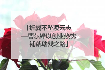 折翼不坠凌云志——曹东锋以创业热忱铺就助残之路