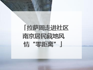 拉萨周走进社区 南京居民藏地风情“零距离”