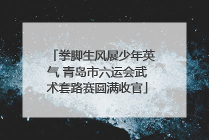 拳脚生风展少年英气 青岛市六运会武术套路赛圆满收官