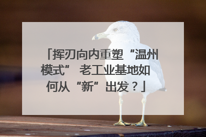 挥刃向内重塑“温州模式” 老工业基地如何从“新”出发？
