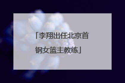 李翔出任北京首钢女篮主教练